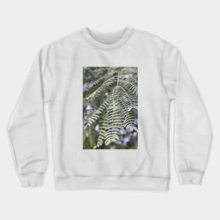 Leaves photo Crewneck Sweatshirt